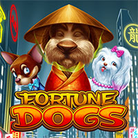 FORTUNE DOGS