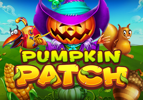 Pumpkin Patch