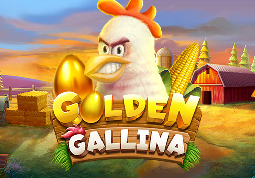 GOLDEN GALLINA