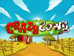 Crazy Cows