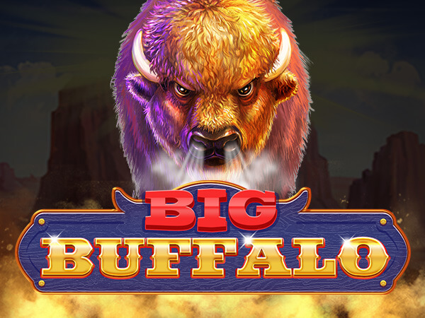 BIG BUFFALO