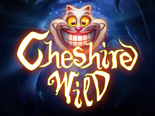 CHESHIRE WILD