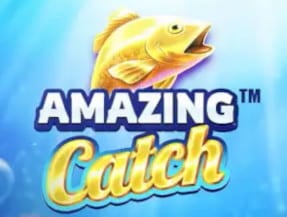 Amazing catch