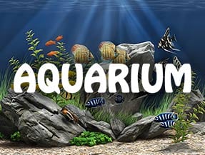 Aquarium HD