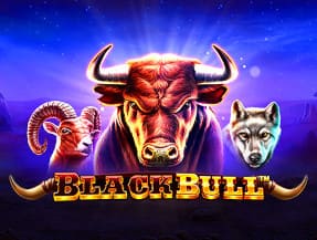 Black Bull