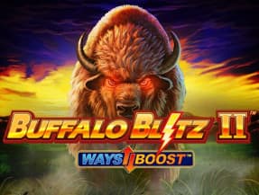 Buffalo Blitz 2