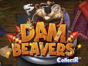 Dam Beavers