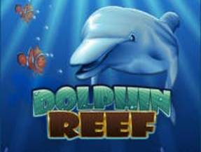 Dolphin Reef