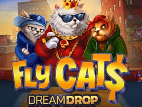 Fly Cats