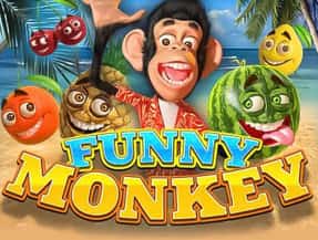 Funny Monkey