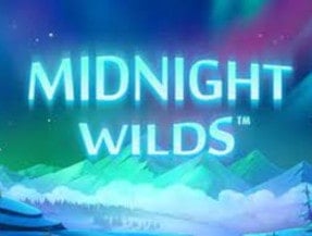 Midnight Wilds