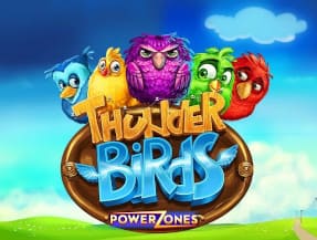 POWER ZONES: THUNDER BIRDS