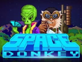 Space Donkey