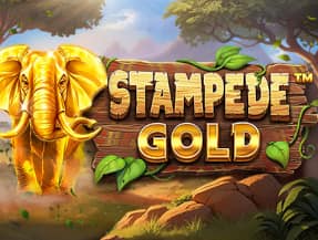 Stampede Gold