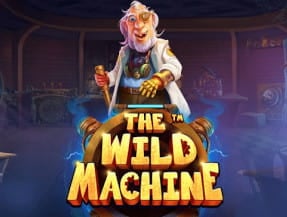 THE WILD MACHINE