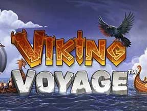 VIKING VOYAGE