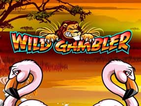 WILD GAMBLER